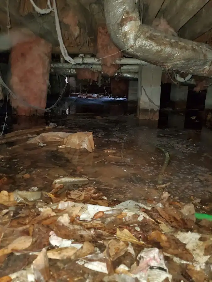 Crawl space flood assessment for Commercial Water Damage Restoration in Cave Springs